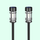 Garden Solar Lights